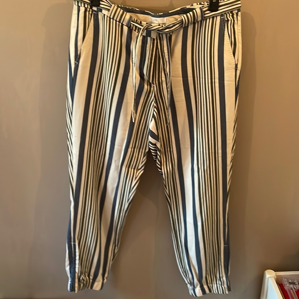 Loft pant